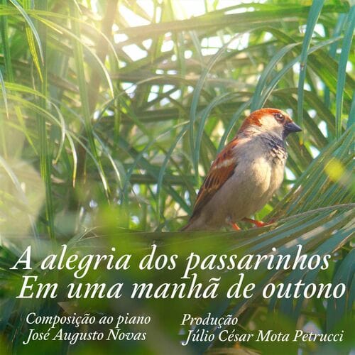 Capa de A alegria dos passarinhos em uma manhã de outono (Trilha sonora do livro)