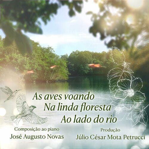 Capa de Piano – As aves voando na linda floresta ao lado do rio