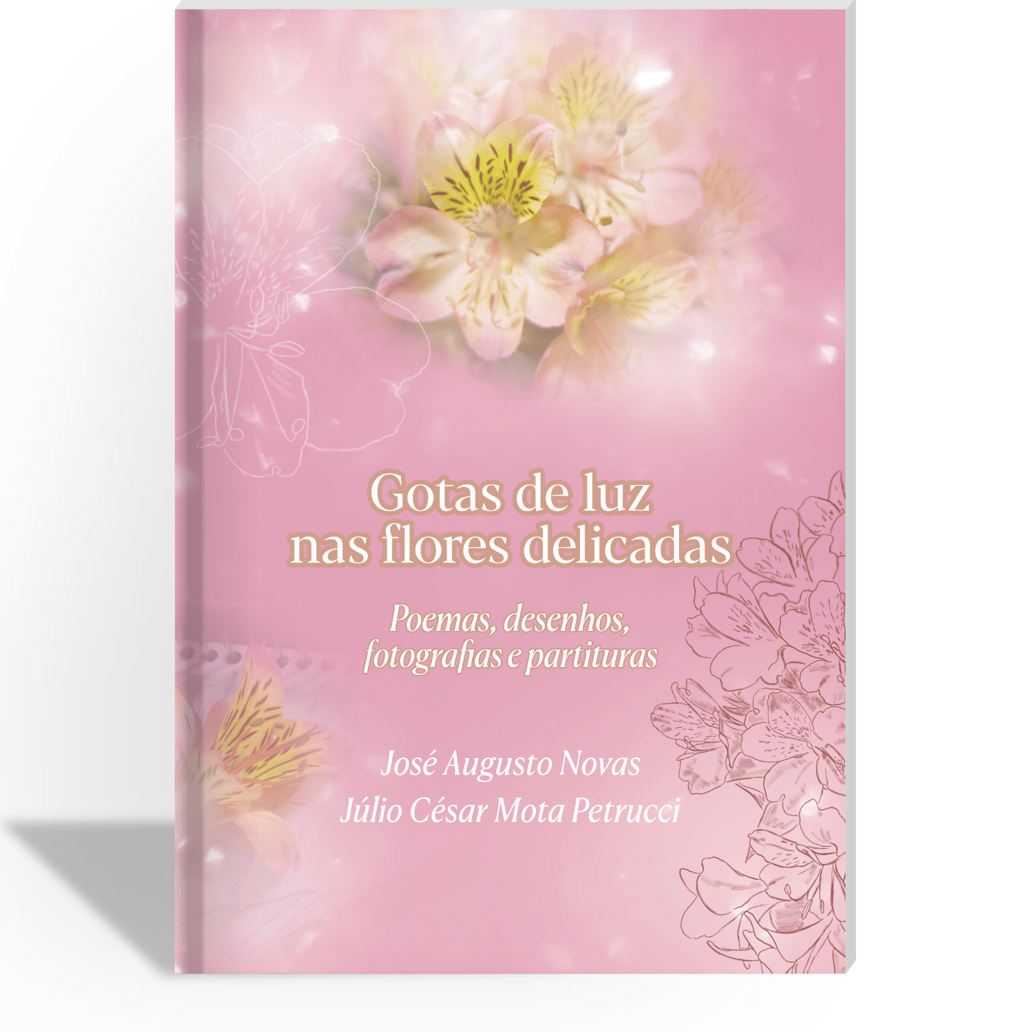 Capa: Gotas de luz nas flores delicadas