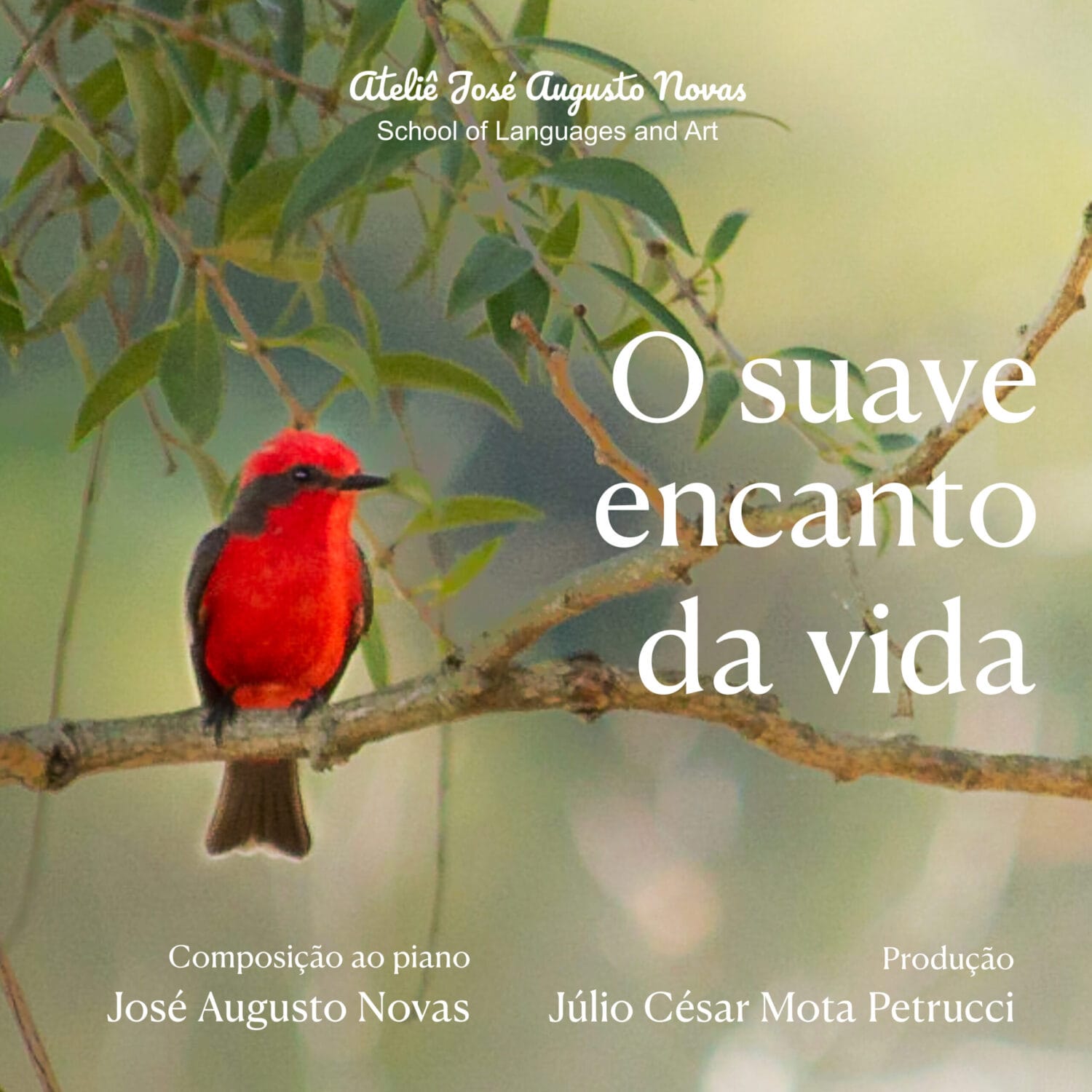 Capa de O suave encanto da vida