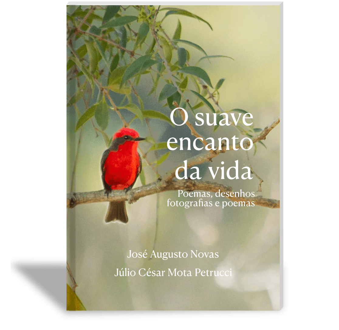 Capa: O suave encanto da vida