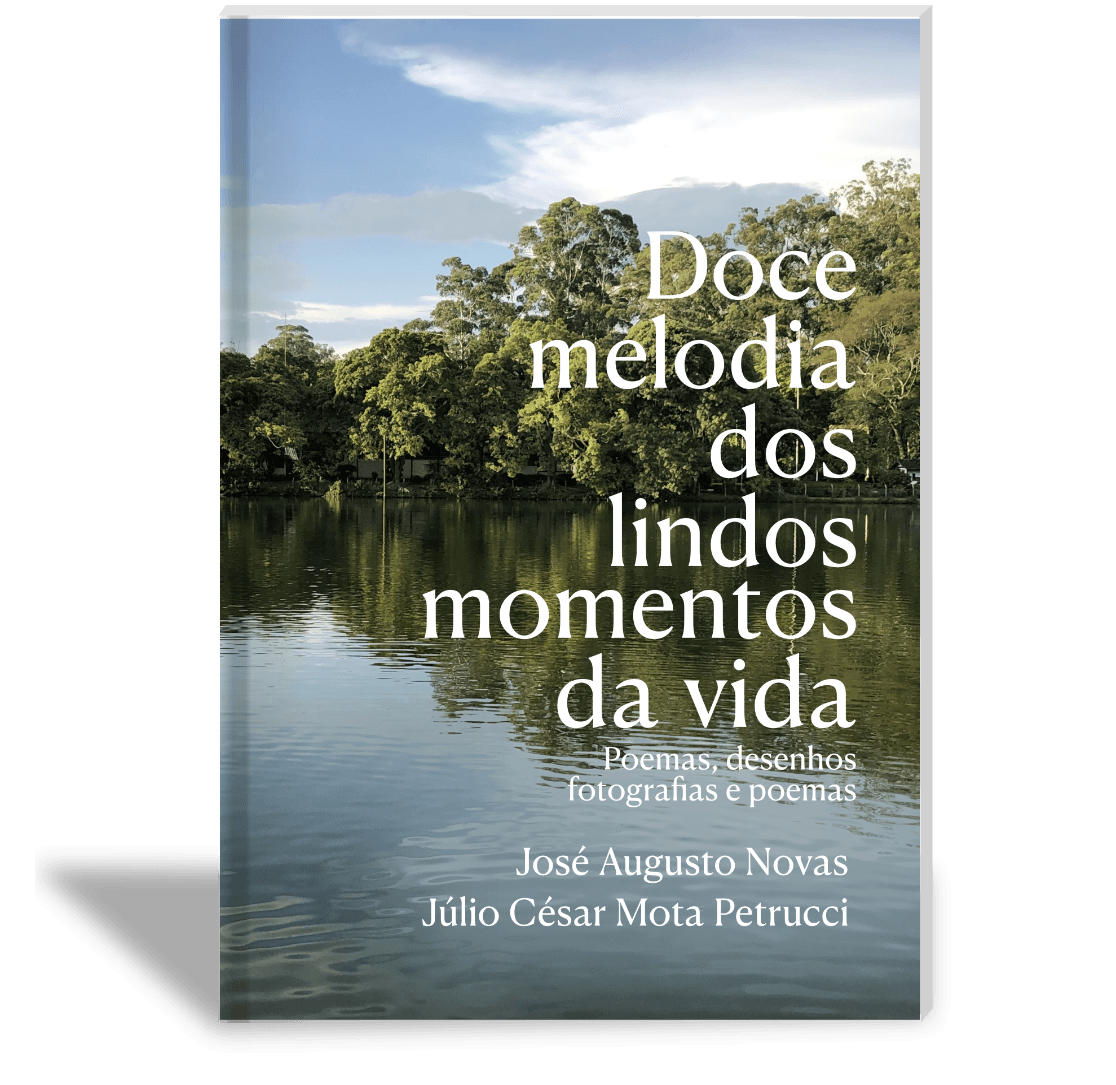 Capa: Doce melodia dos lindos momentos da vida