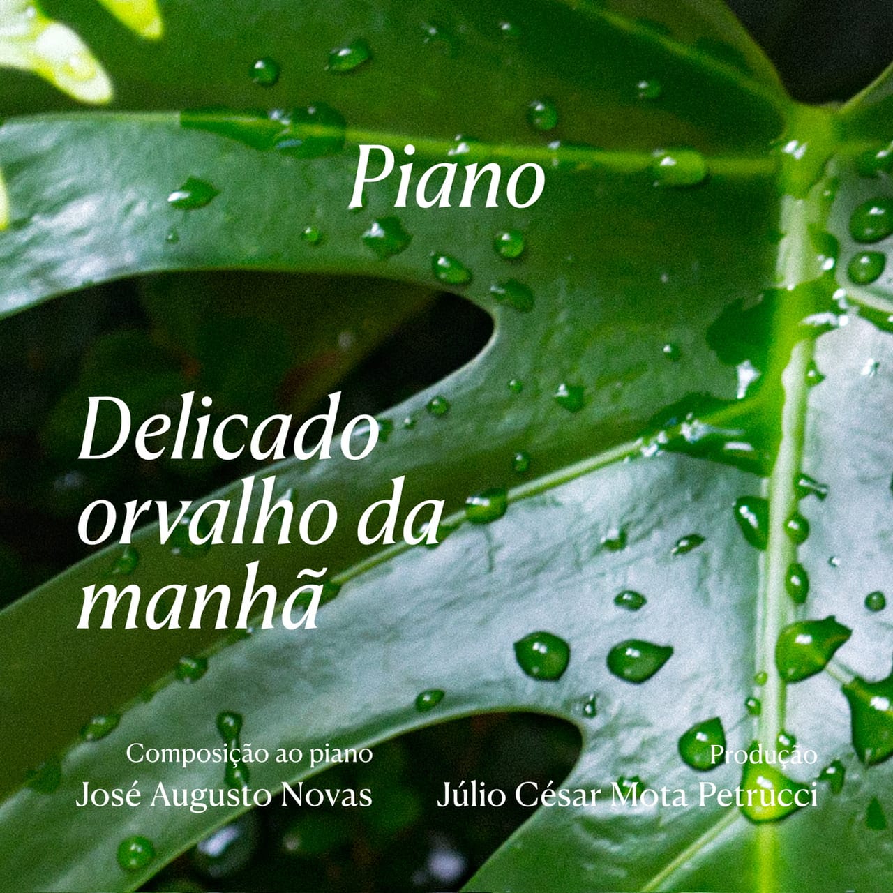 Capa de Delicado orvalho da manhã