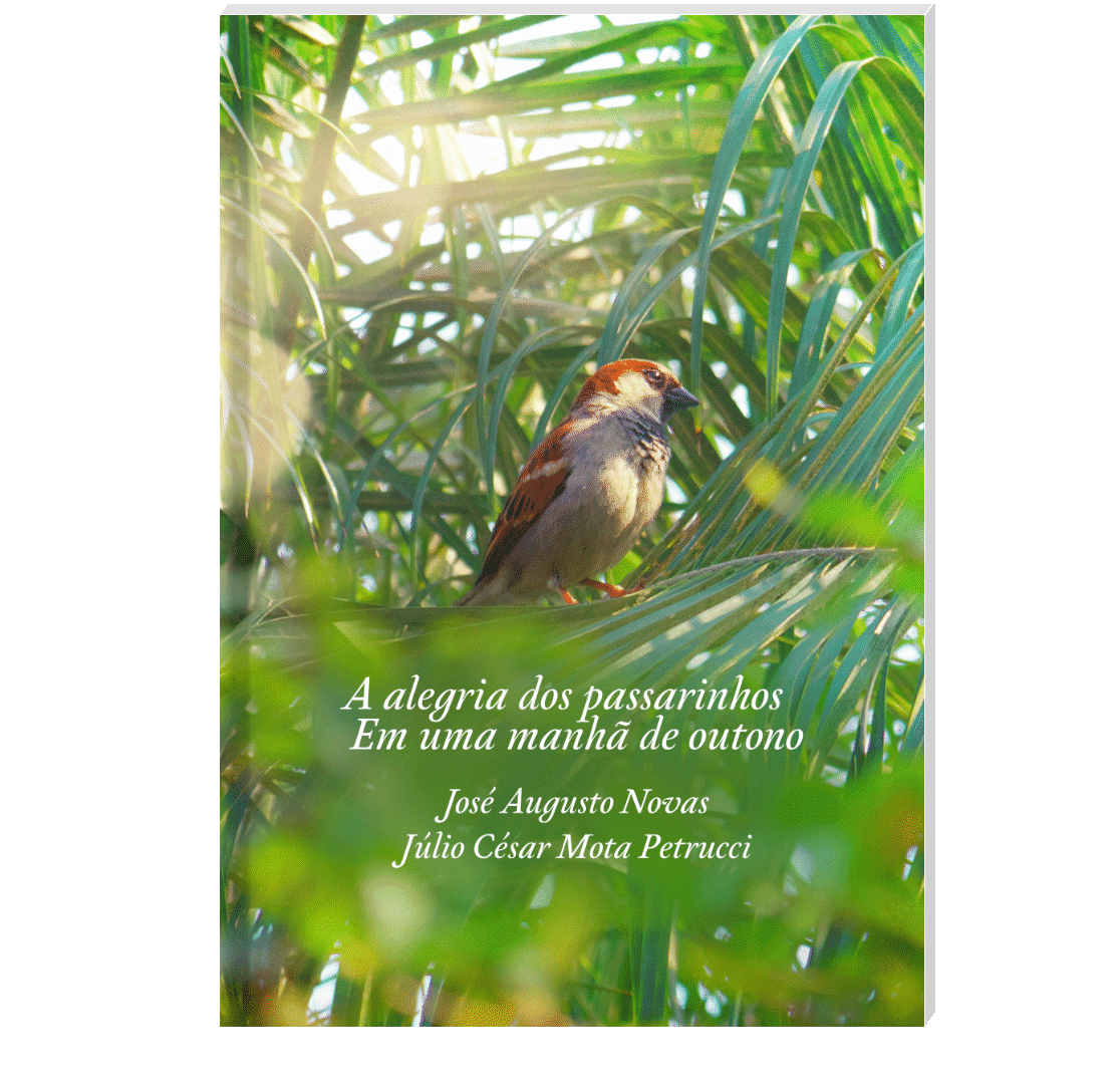 Capa: A alegria dos passarinhos em uma manhã de outono